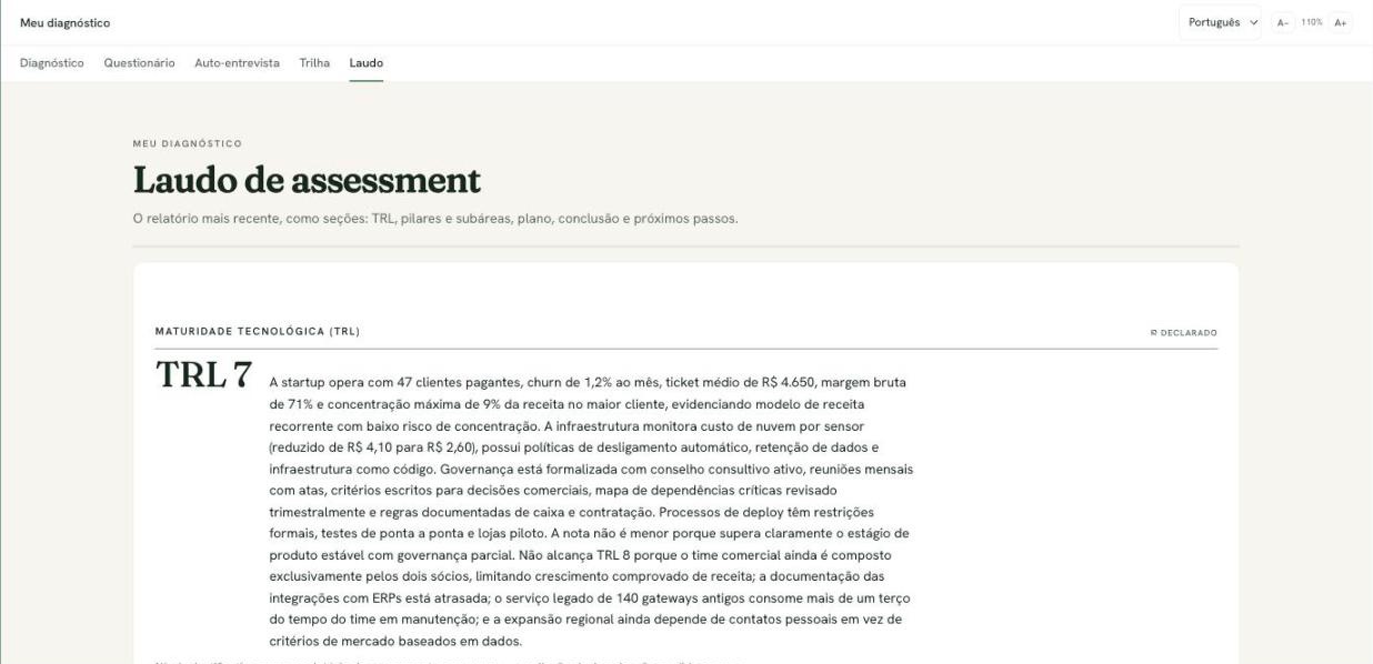 Report open, with executive summary and language selector